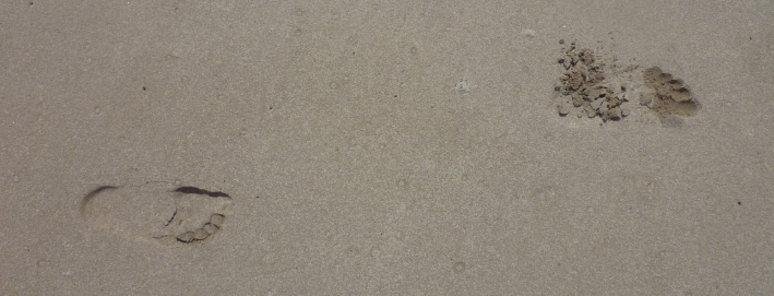footprints in the sand.jpg