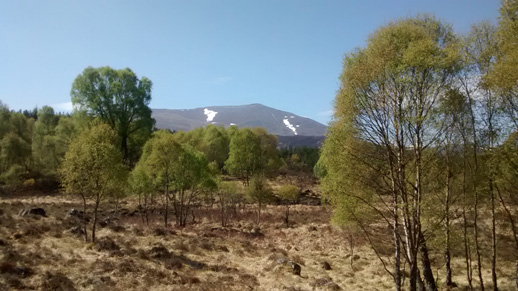 Schiehallion.jpg