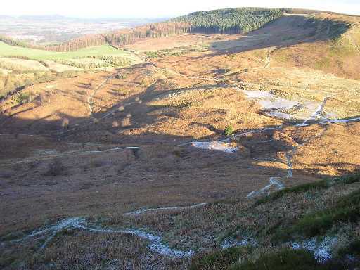 Roseberry Xmas Smallest.jpg