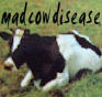 madcowdisease.jpg