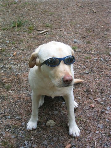 craigl5.jpg