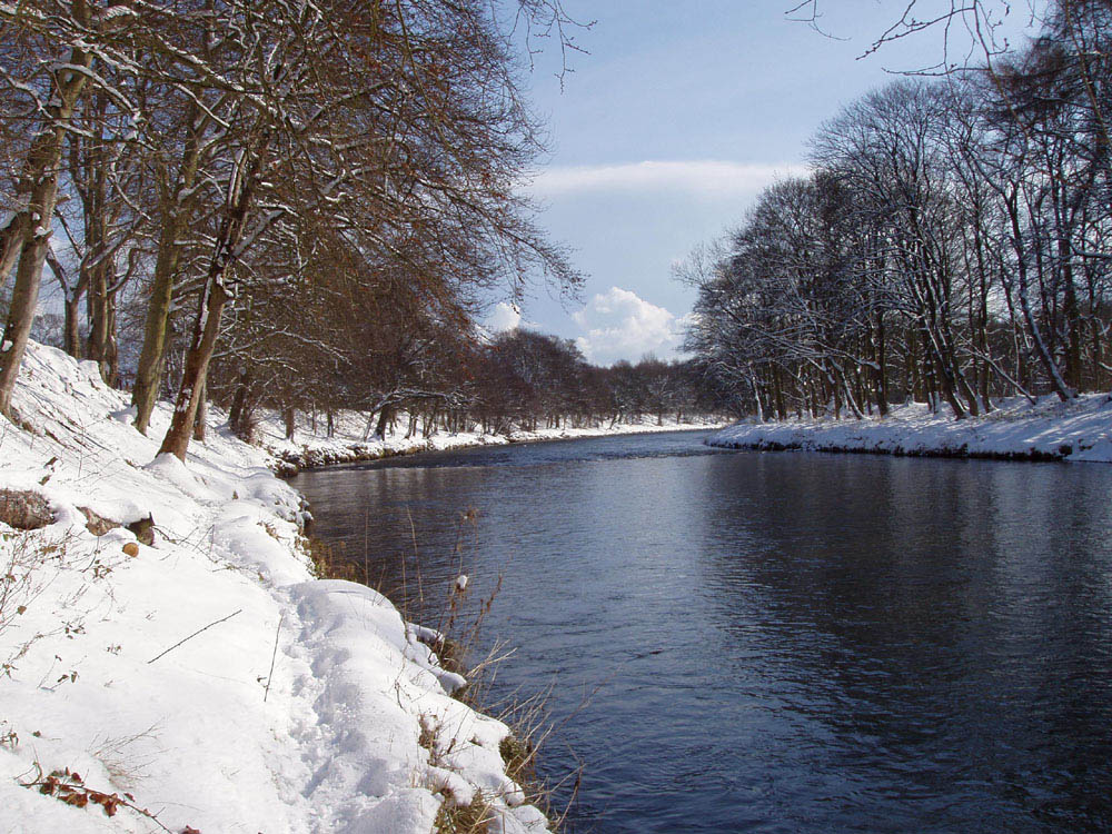 RiverDon01(1).jpg