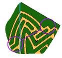 maize extract F.jpg
