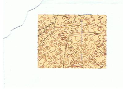 Picture 001.jpg